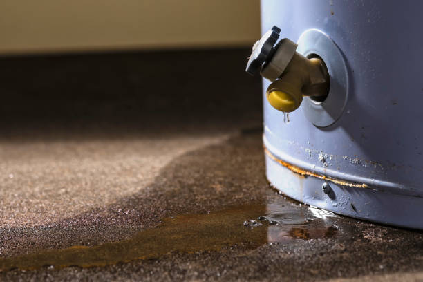 Best Professional water damage repair  in Saco, ME