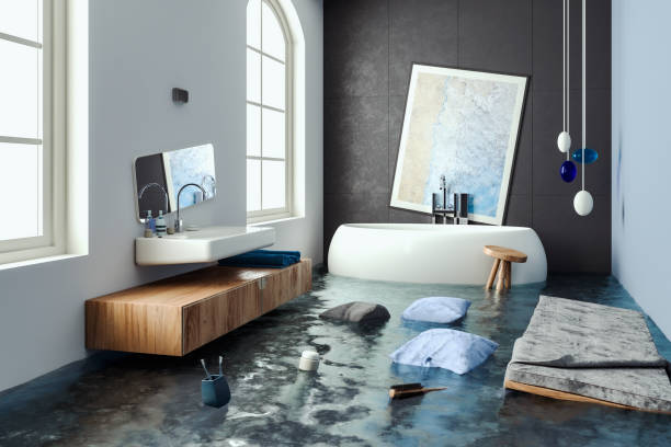 Best Carpet water damage restoration  in Saco, ME