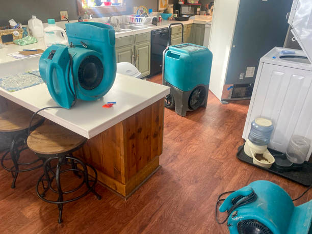Best Water damage cleanup near me  in Saco, ME