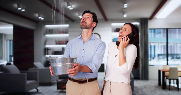 Best Water damage cleanup near me  in Saco, ME