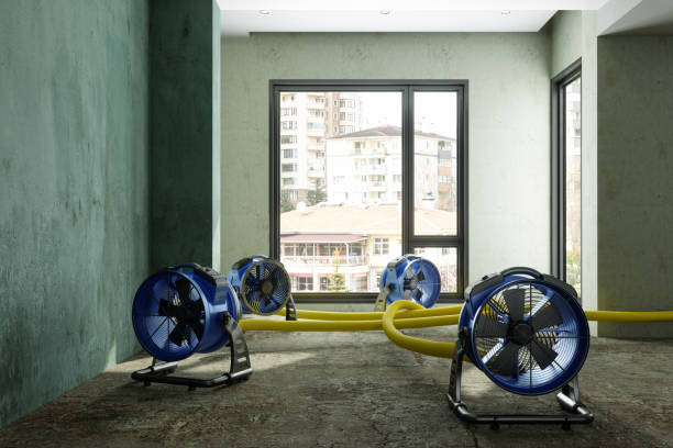 Best Emergency water damage restoration  in Saco, ME